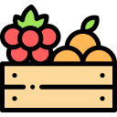 Fruits