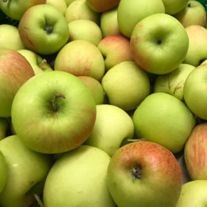 Pomme bio